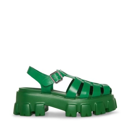 Green Steve Madden Echo Women's Platform Sandals | PH 8539OMD